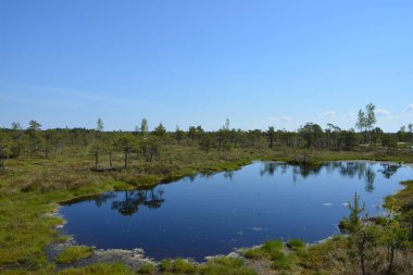 Letonya 'nın Jurmala kentindeki Kemeri Ulusal Parkı geniş sulak alanları ve büyüleyici bataklık manzaralarıyla bilinen büyüleyici bir yerdir. Park, ziyaretçilere eşsiz ekosistemini keşfetme olanağı sağlayan iyi korunmuş bir tahta kaldırım ağına sahip.