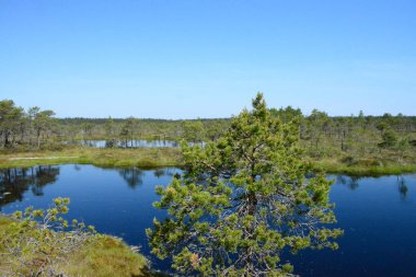 Letonya 'nın Jurmala kentindeki Kemeri Ulusal Parkı geniş sulak alanları ve büyüleyici bataklık manzaralarıyla bilinen büyüleyici bir yerdir. Park, ziyaretçilere eşsiz ekosistemini keşfetme olanağı sağlayan iyi korunmuş bir tahta kaldırım ağına sahip.