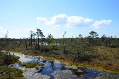 Letonya 'nın Jurmala kentindeki Kemeri Ulusal Parkı geniş sulak alanları ve büyüleyici bataklık manzaralarıyla bilinen büyüleyici bir yerdir. Park, ziyaretçilere eşsiz ekosistemini keşfetme olanağı sağlayan iyi korunmuş bir tahta kaldırım ağına sahip.