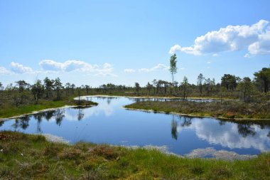 Letonya 'nın Jurmala kentindeki Kemeri Ulusal Parkı geniş sulak alanları ve büyüleyici bataklık manzaralarıyla bilinen büyüleyici bir yerdir. Park, ziyaretçilere eşsiz ekosistemini keşfetme olanağı sağlayan iyi korunmuş bir tahta kaldırım ağına sahip.