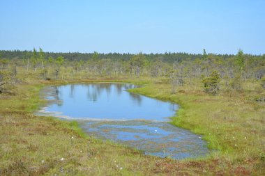 Letonya 'nın Jurmala kentindeki Kemeri Ulusal Parkı geniş sulak alanları ve büyüleyici bataklık manzaralarıyla bilinen büyüleyici bir yerdir. Park, ziyaretçilere eşsiz ekosistemini keşfetme olanağı sağlayan iyi korunmuş bir tahta kaldırım ağına sahip.