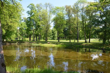 Parktaki güzel göl ve ağaçların manzarası