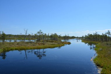 Güzel göl manzarası