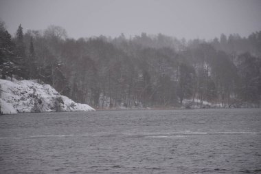 Göl ve ormanlı güzel bir manzara.