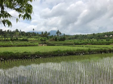 Nehir ve küçük bir köyle güzel bir manzara.