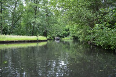 Bu büyüleyici görüntü, Almanya 'nın pitoresk bir bölgesi olan Lubbenau / Spreewald' ın dingin güzelliğini yansıtıyor. Fotoğrafta yemyeşil sularda salınan sakin bir kanal var. Geleneksel tekneler suyun üzerinde nazikçe yüzüyor. Yoğun orman