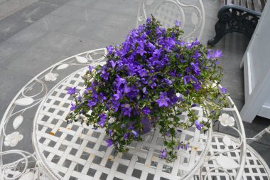 Moskova 'da bir yürüyüş, tarih, kültür ve modernliğin büyüleyici bir karışımını sunar. Kızıl Meydan 'dan başlayın, şehrin kalbi, St. gibi ikonik simgeleri takdir edebileceğiniz bir yer. Basil 'in Katedrali, Kremlin ve Lenin' in Mozolesi. Yol boyunca dolaş.