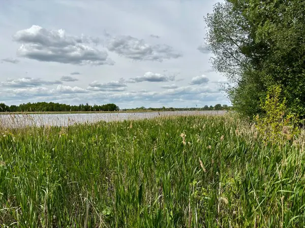 Strykowo Plaa, Büyük Polonya bölgesinde Stszew yakınlarında bulunan gizli bir mücevherdir.. 