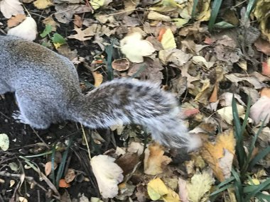 New York 'a bir gezi unutulmaz bir deneyimdir. Enerji, simgesel simgeler ve çeşitli kültürel etkinliklerle doludur.. 