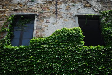 Tarihi taş bina, iki yıpranmış pencereye sahip. Sarmaşıkla sarmalanmış, ona klasik bir cazibe katıyor.