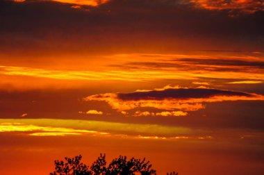 Güzel bir günbatımı ön planda yalnız bir ağaç ile tasvir edilir. Sahnenin sükunetini ve doğal paletini arttırır.