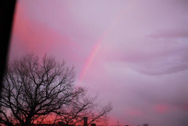 A vibrant and beautiful rainbow appears in the sky high above the lush green trees, creating a stunning natural scene for all to admire clipart