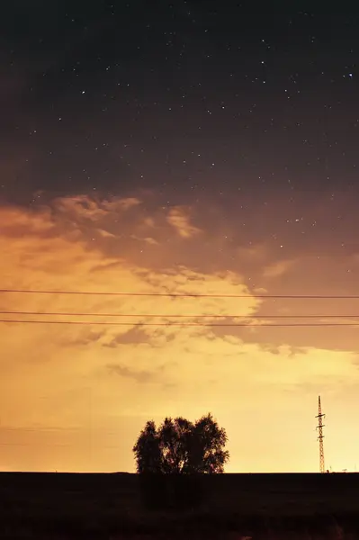 Huzurlu ve huzurlu bir gece sahnesi. Karanlık siluetli ağaçlarla dolu. Renkli bir alacakaranlık gökyüzüne karşı güzelce dizilmiş.