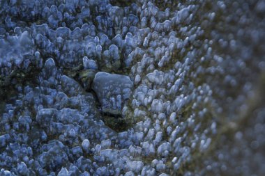 Taş üzerinde buz oluşumunun makro fotoğrafı.
