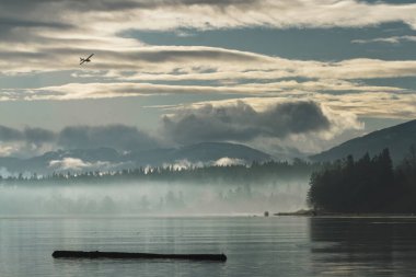 The early morning sun rises over the mountains in Comox, British Columbia as a Cessna 172 single engine aircraft comes in for a landing.