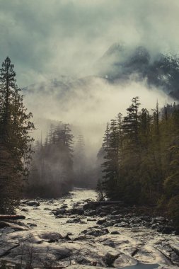 Huysuz Dağ Nehri Kış Atmosferinde Sisli Orman.
