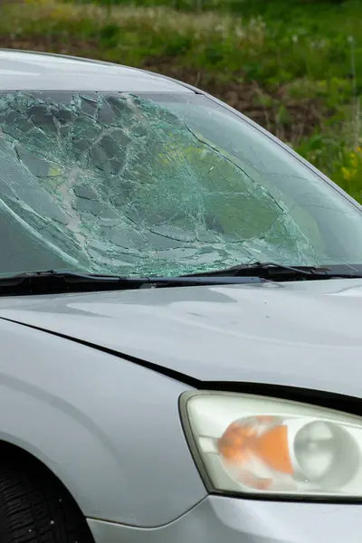 Uzun çimenlere park etmiş kırık camlı hasarlı bir araba. Terk edilmiş gümüş bir araba, ön camı kırılmış ve ön tarafı hasar görmüş..