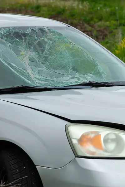 Uzun çimenlere park etmiş kırık camlı hasarlı bir araba. Terk edilmiş gümüş bir araba, ön camı kırılmış ve ön tarafı hasar görmüş..