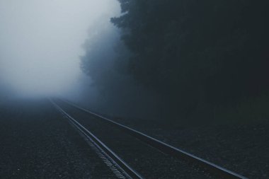 Karanlık orman demiryolu siste kayboluyor..