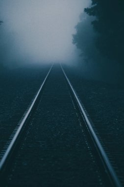 Karanlık orman demiryolu siste kayboluyor..