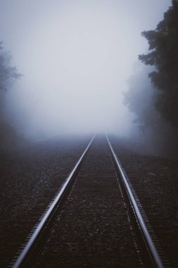 Karanlık orman demiryolu siste kayboluyor..