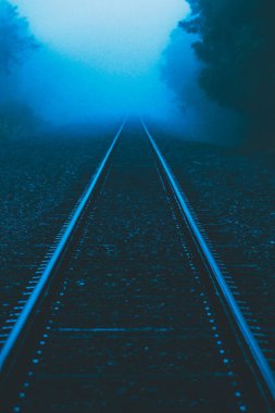 Karanlık orman demiryolu siste kayboluyor..