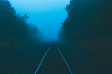 Karanlık orman demiryolu siste kayboluyor..