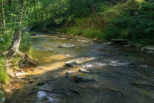 Stream and creek running though the woods showing tranquility and sunlight