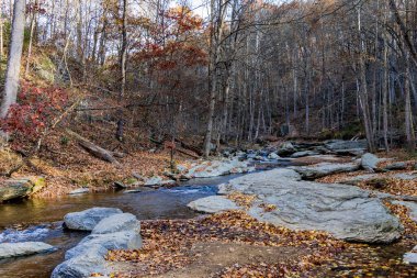 Sonbaharda Şelale Deresi - Manzara Yönlendirmesi