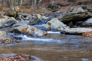 Sonbaharda Şelale Deresi - Manzara Yönlendirmesi
