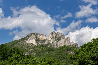Fotoğraf: Seneca Kaya Tırmanış Alanı Kayalıkları Batı Virginia 'da Monongahela Ulusal Ormanı' nın bir parçası