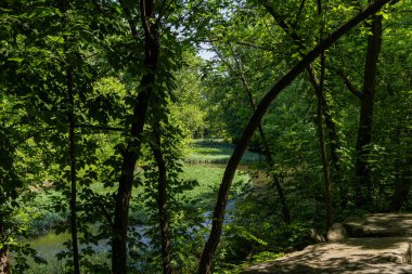 Yazın Gahanna Ohio 'daki Big Walnut Creek' in fotoğrafı Creekside Park ve botanik bahçesi yakınlarında çekilmiştir.