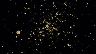 Bozukluklar düşer. Şeffaf arkaplanda para yağmuru animasyonu. Düşen altın sikkeler. Düşen madeni paralar veya para alfa kanallı altın yağmur hareketi arkaplanı.