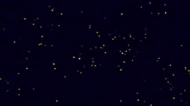 Şeffaf bir arkaplanda Altın Konfeti Patlama Animasyonu. Alfa Ekranında 3D Altın Konfeti Topu Canlandırması.