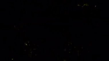 Patlama şok dalgası etkisi ve şeffaf bir arkaplanda farklı dalgalar. Soyut duman patlaması animasyonu. Alfa kanalında enerji animasyonunu ateşle. Şablonu Ört. Patlama şok dalgası.