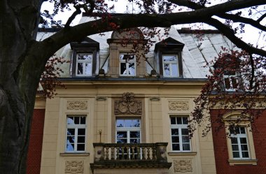 Wroclaw, Polonya - Mayıs 2024: Güneşli sabahlarda güzel ve renkli Pawlowice Parkı 'nda bir sürü güzel ağaç ve büyük ve güzel bir saray var.