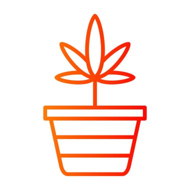 Esrar bitkisi tencerede.