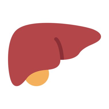 Karaciğer yassı simgesi, vektör, illüstrasyon