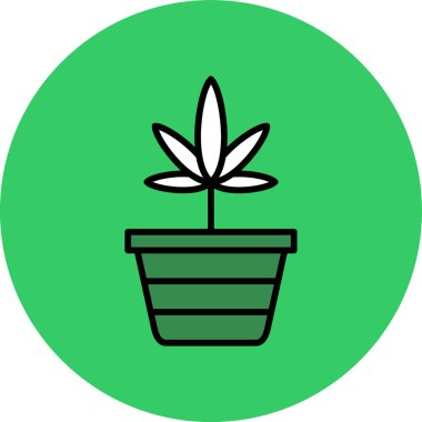 Esrar bitkisinin vektör çizimi