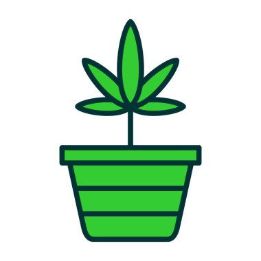 esrar bitkisi simgesi, vektör illüstrasyon tasarımı