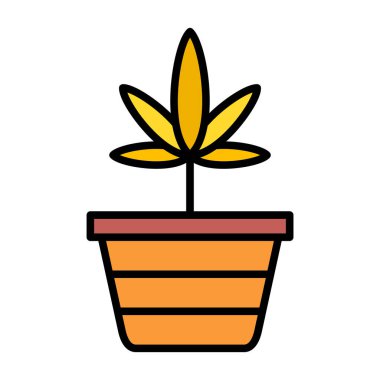 Esrarlı esrar yaprağı