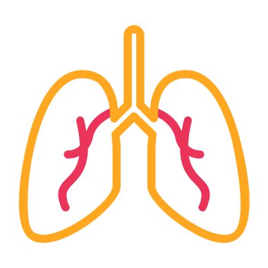 İnsan ciğerleri. Basit resimleme