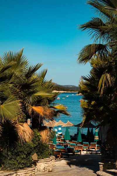 Mavi denize karşı yeşil ağaçların arasındaki manzara sahili. Yaz mevsiminde Akdeniz 'in güzel plajı. Güneşli bir günde cennet kumsalı. Rahatlamak, tatil, Arnavutluk 'ta yaz.