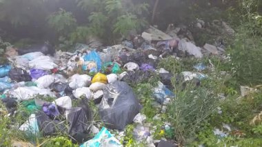 Ukrayna 'da bir ormanda çorak bir arazi. Doğanın plastik kirliliği sorunu