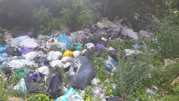 Ödland Einem Wald Der Ukraine Problem Der Plastikverschmutzung Der Natur — Stockvideo