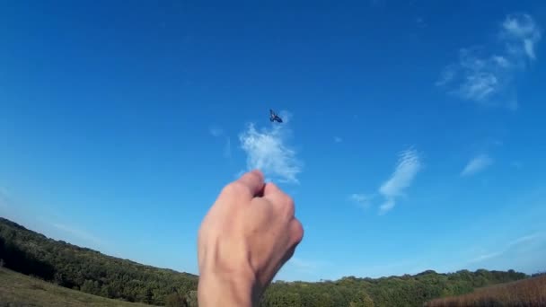 Vista Primera Persona Volando Una Cometa Colorida Contra Cielo Azul — Vídeos de Stock