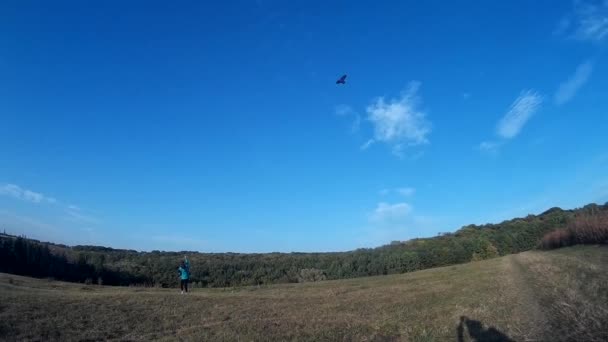 First Person View Flying Colorful Kite Blue Sky Nature Pov — Stock Video