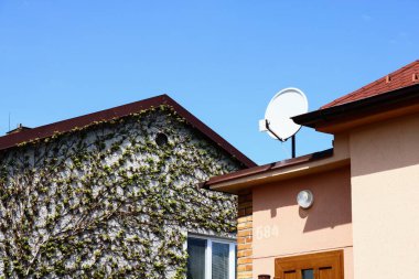 Bu fotoğraf bitişik iki evin dış görünüşünü gösteriyor. Bir evin dış cephesi sarmaşıklarla kaplıdır, kentsel ortama biraz doğa katar. Diğer evin çatısında modern teknolojinin göstergesi olan bir uydu anteni var.. 