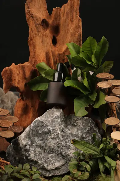 Matte Amber Şişe Doğal Orman ve Yaprak Ayarlama Siyah Şapkalı