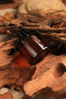 Kurumuş çiçekli parfüm şişesi